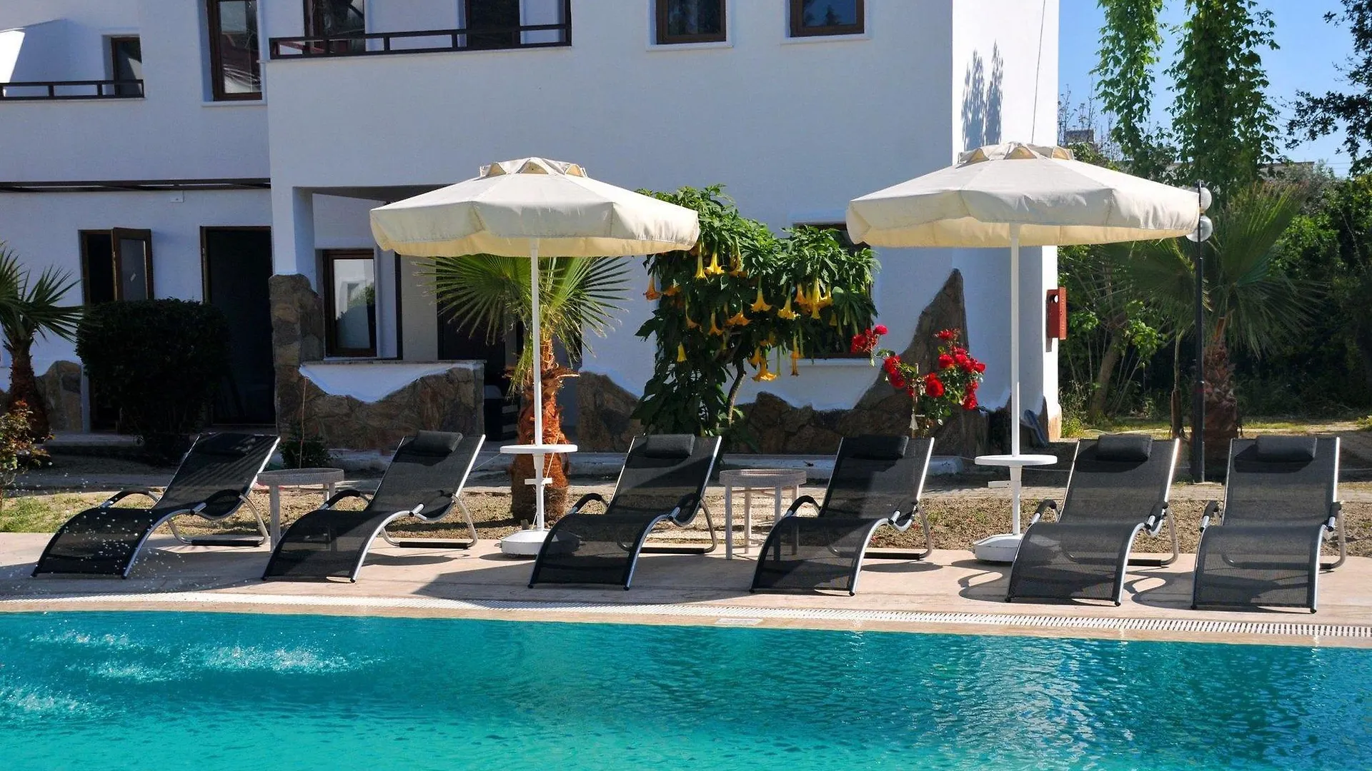 **  Club Cherry Hotel & Family Suites Turgutreis Turquie